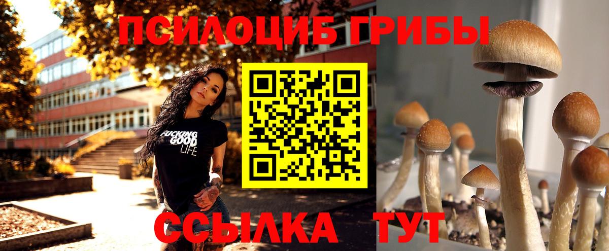 Галлюциногенные грибы GOLDEN TEACHER Ирбит